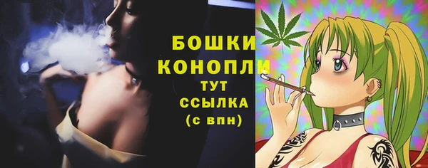 гидропоника Иннополис