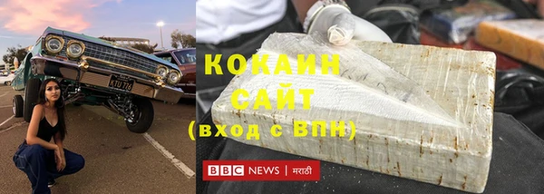 ГАЛЛЮЦИНОГЕННЫЕ ГРИБЫ Дмитриев